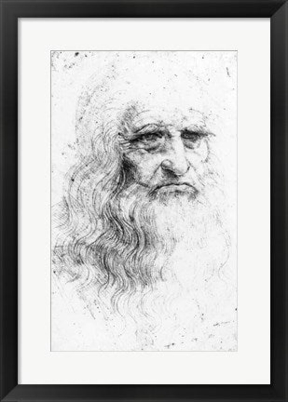 Framed Art Self portrait - Sketch by Leonardo Da Vinci Wall Decor 18x24 Artwork